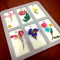 綠瓶子 香氛6號矽膠模, 1個