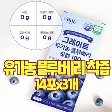 블루베리즙 유기농 진액 100 퓨레 NFC 착즙 원액 블루베리주스 쥬스 스틱 효능 식약처 인증 인정해썹, 42개, 20g