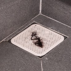 국산 실리콘 욕실 화장실 배수구 덮개 마개 거름망, 배수구 20cm 그레이