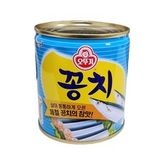 (무)오뚜기 꽁치캔280gX10개, 280g, 10개