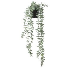 이케아 조화 인조식물 실내외겸용 페이카, 유칼립투스(58cm), 1개