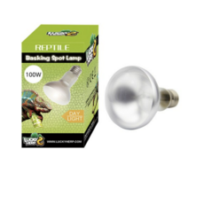 럭키허프 데이라이트 UVA 파충류 바스킹 스팟 램프 100W, 1개