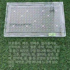 트레이파종기 토마토 배추 종자 이식기 들깨 모종 파종기, 레드, 1개