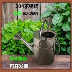 304不銹鋼灑水壺家用長嘴澆花噴壺5L大容量, 5升304不銹鋼灑水壺（固定噴頭）, 1個