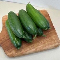 미니오이1kg_공급 (Araium), AI_01 미니오이1kg_공급