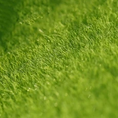 인공 초지 시뮬레이션 이끼 잔디 가짜 녹색 매트 카펫 DIY 마이크로 조경 홈 바닥 장식 15cm x 1PC, 02 B