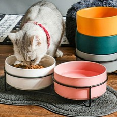 반려견 도자기 식기 2구 소형 블랙 트레이 초록 그릇kyo1+9UbN