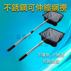 龍爵士 不銹鋼可伸縮撈網, 1個, 網寬20cm 全長約 100cm