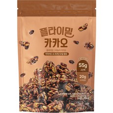 플라이밀 수제 그래놀라 카카오, 250g, 2개