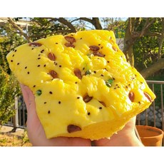 갓쪄낸 국산 사각 옥수수술빵, 350g, 5개