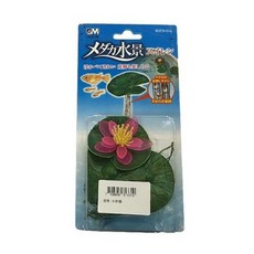 어항 장식 수련, 1개