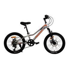 BIKEONE MG17 20吋 shimano7速鋁合金機械碟碟煞前避震自行車兒童單車, 灰, 1個