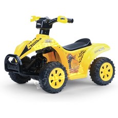 12V ATV 전동 승용 완구 아이들용, 6V ATV 쿼드, 톤카
