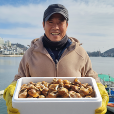 [상위1%생산자직송] 동해 포항 구룡포 생물 백고동 백골뱅이, 1박스, 1kg (소소)