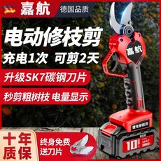 德國進口電動剪刀修枝剪刀果樹充電式液晶無線鋰電園藝園林粗枝, 德國進口+大功率無刷電機+10年保修,8公分【三電超長續航】+2個硬鋼刀片+豪, 1個