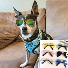 미풀 반려동물 안경 고양이악세사리, 2-애완선글라스-파랑