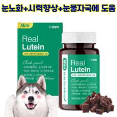 펫생각 리얼 루테인 데일리케얼 미니 강아지 눈물자국 눈 건강 시력건강 눈꼽 눈물얼룩제거 백내장 녹내장 예방, 눈물개선/눈건강, 3개