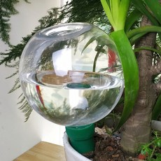 MMC 자동 식물 Waterer 물방울 관개 시스템 급수 화분 삽입 실내 실외용 글로브, 1개