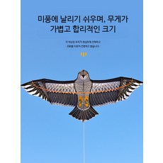 독수리 연날리기 세트 고급형 초보자용 연줄 포함 민속놀이 야외용 감는 1.8m 올드 이글 연+220m 와이어 휠, 1개