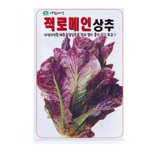 적 로메인 상추 씨앗, 1개