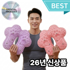 Bodyflow 지압스텝퍼 국내QC 프리미엄 에어스텝퍼 발마사지, 1세대 퍼플