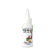 핸즈유 무광바니쉬 공예DIY고급전문바니쉬, 60ml, 1개