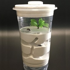 SAMARA 개미 사육장 미니 둥지 개미성, 1개