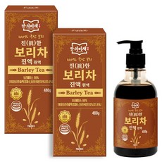 맛의비책 진한 국산 보리차 진액 원액 식약처인증 HACCP, 2개, 480g