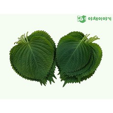 야채이야기 깻잎 1kg, 1개