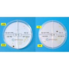 세균배양 간이검사 과학실험재료 1인용 만들기재료 집콕놀이 과학놀이키트 과학상자