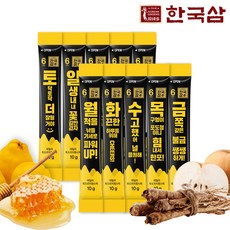 한국삼 데일리 흑도라지청스틱 10g 10포, 1개, 10회분