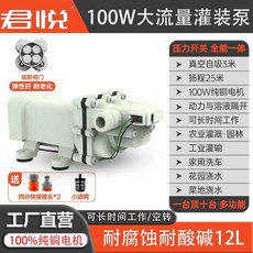 君悅 自吸大流量隔膜泵 100W 耐腐蝕 12V 灌裝泵, 1個, 24  V 丨 不含電源,【矽膠閥芯款】 適合抽水抽酒