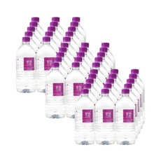 몽베스트 생수 유/무라벨 랜덤발송, 36개, 1L