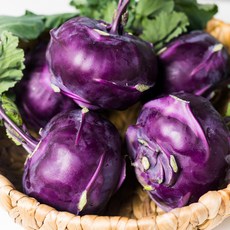 [한정특가 100박스] 제주 햇 콜라비 정품, 1개, 1kg