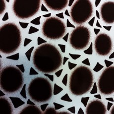 스탬핑 홀로그램 포일 A4, 1개, 33 Black spot