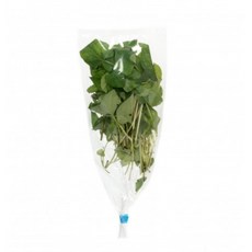 국내재배 한 동남아시아야채 향신료 홀라파 가파오 맹락 어성초 민트 박실라우 딜 등등, 어성초 엽까 1봉지×1개