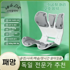 스타일닥터 접이식용 인체공학 자세보정의자 척추 통증을 완화할 수 있습니다, 회색