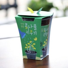 콩나물재배세트 식물키우기 어린이관찰 학습키트