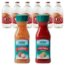 골든팜 과일청 에이드 패키지 리치 + 핑크 구아바, 2개, 500ml