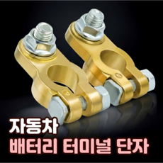 로니베이 자동차 배터리 터미널 단자 황동 음극(-) 양극(+), 1세트