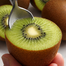 썬리지 고당도 지중해 그린키위, 1박스, 그린키위 대과 2kg