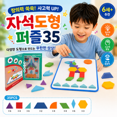 브레인키즐 자석 탱그램 퍼즐35 자석 도형퍼즐 칠교 패턴블록 유아자석블럭 수학교구 여행용퍼즐, 35개, 1인용, 보라,빨강,주황,녹색,노랑,하늘색,파랑