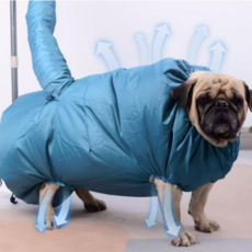 고냥냥 강아지 고양이 드라이룸 드라이기, 1개, 블루