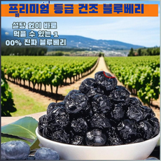 무설탕 블루베리 야생 과일 말린 것 설탕 얼룩 큰 과일 노소 누구나 말린 것 타이완산 특급 무설탕 블루베리건조과일 말린 블루베리 식품 무첨가, 50g/봉지