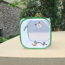 망사 채집통 곤충사육 케이지 나비 접이식 30x30x30cmmim99pel
