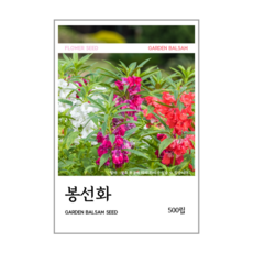 봉선화 씨앗 500립, 1개 1개