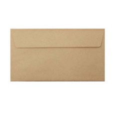 우진 크라프트 상품권봉투 1팩15매(8.8X17.3cm)/가로봉투 돈봉투, 15개