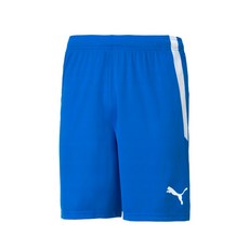 [국내매장정품] 푸마 PUMA 팀리가 쇼츠(70492402) 반바지 70492402 168260