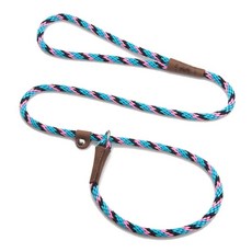 Mendota Pet 슬립 목줄 - 강아지 리드 및 칼라 콤보 - 미국 제조 - 다이아몬드 사암 1cm x 1.2m(3/8인치 x 4피트) - 소형/중형 품종용, Starbright