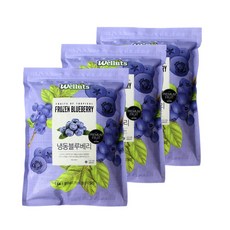 웰루츠 블루베리, 1개, 3kg